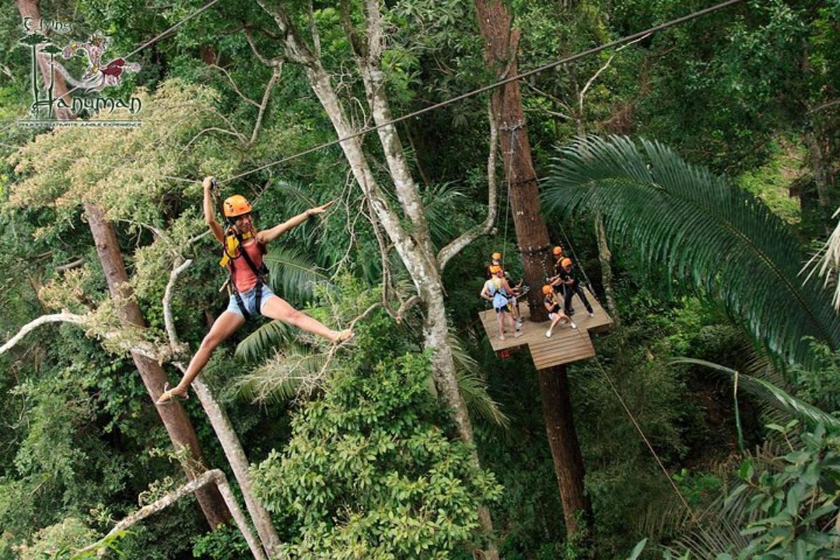 a group of people on a zip line in the forest