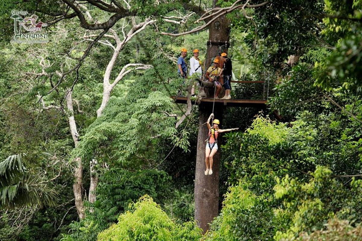 a group of people on a zip line in a forest