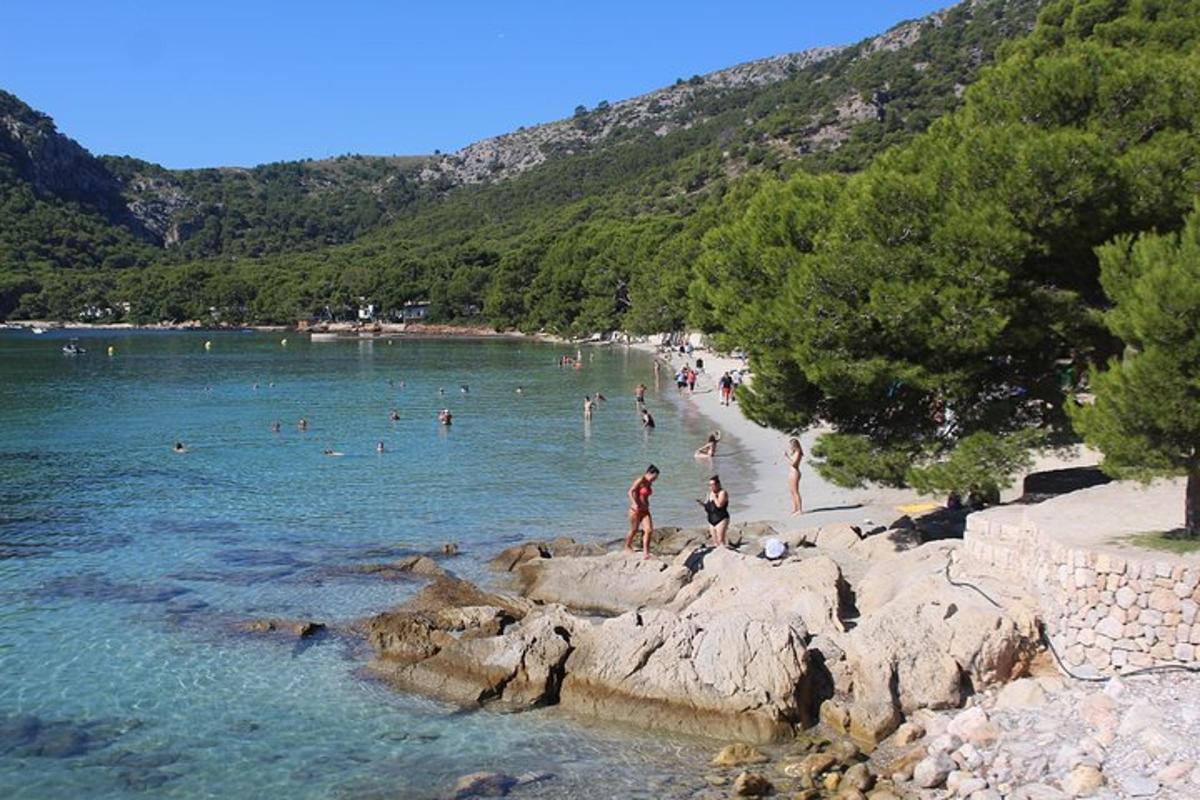 un gruppo di persone in acqua su una spiaggia