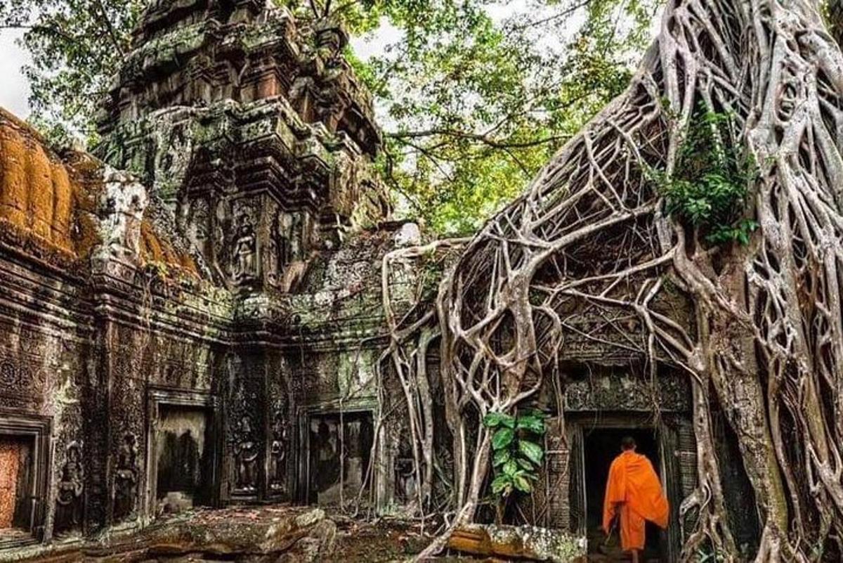 seorang lelaki berjalan keluar dari bangunan dengan akar pokok
