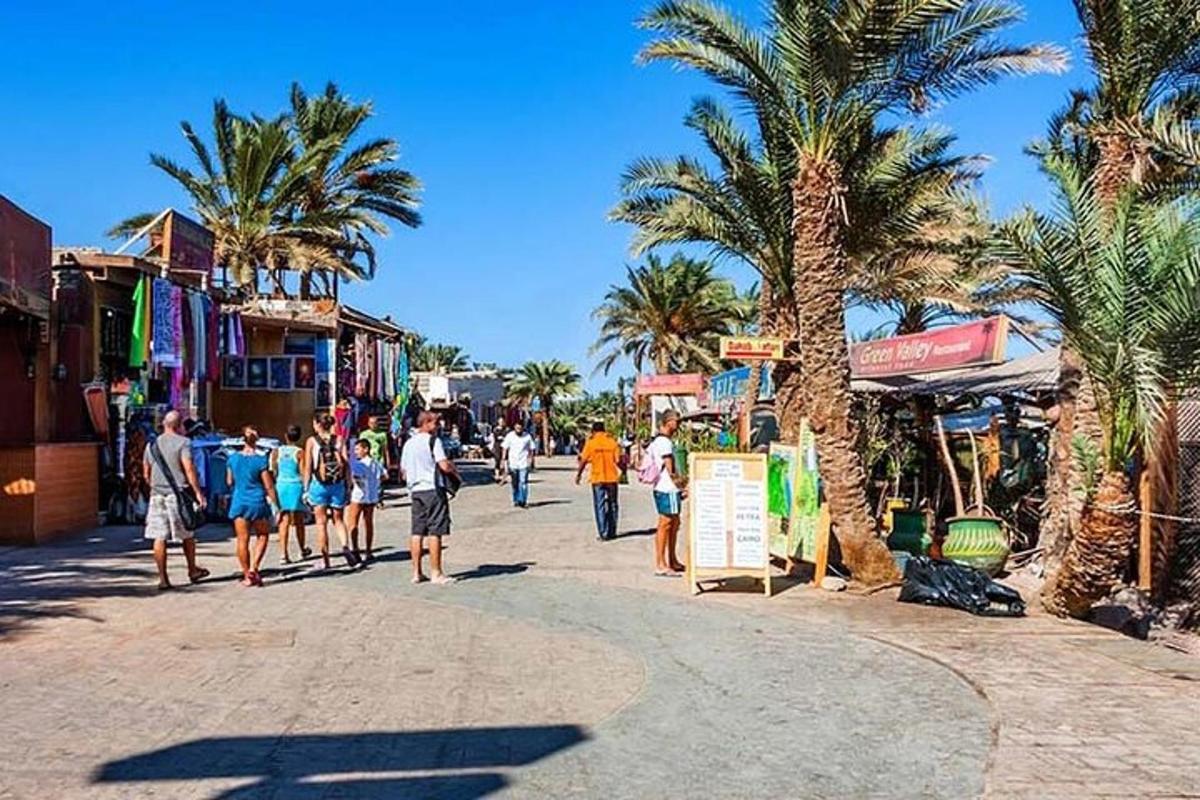 skupina lidí jdoucích po ulici s palmami