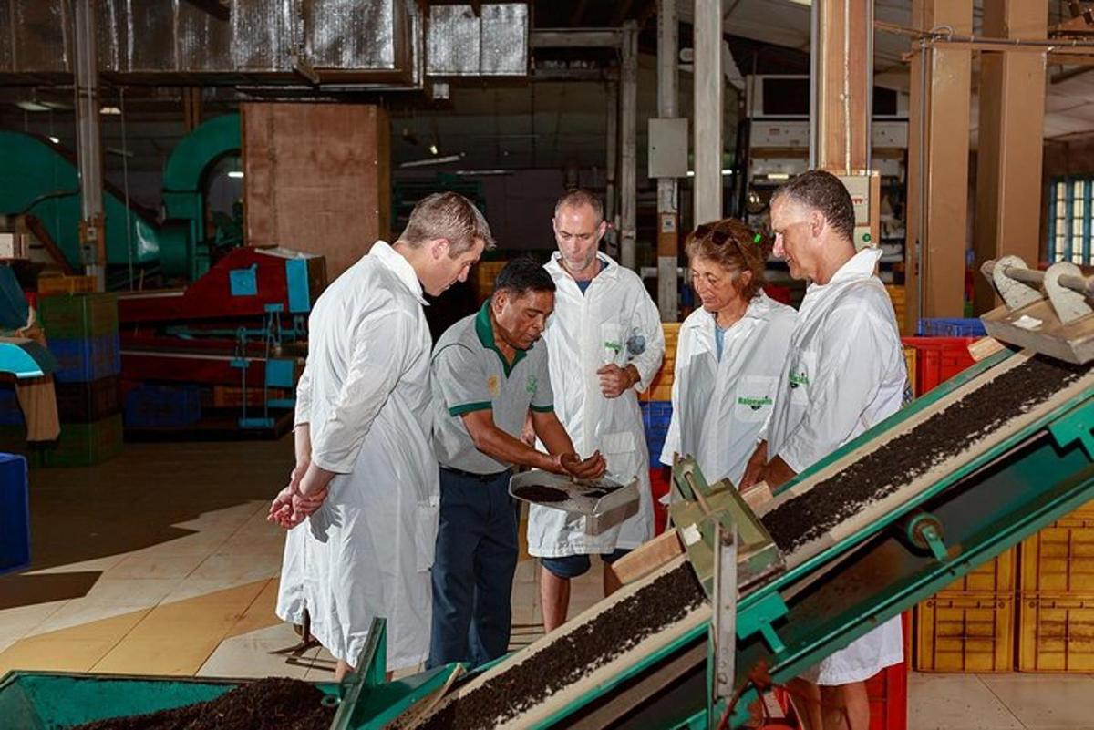 a group of people in a factory looking at a machine