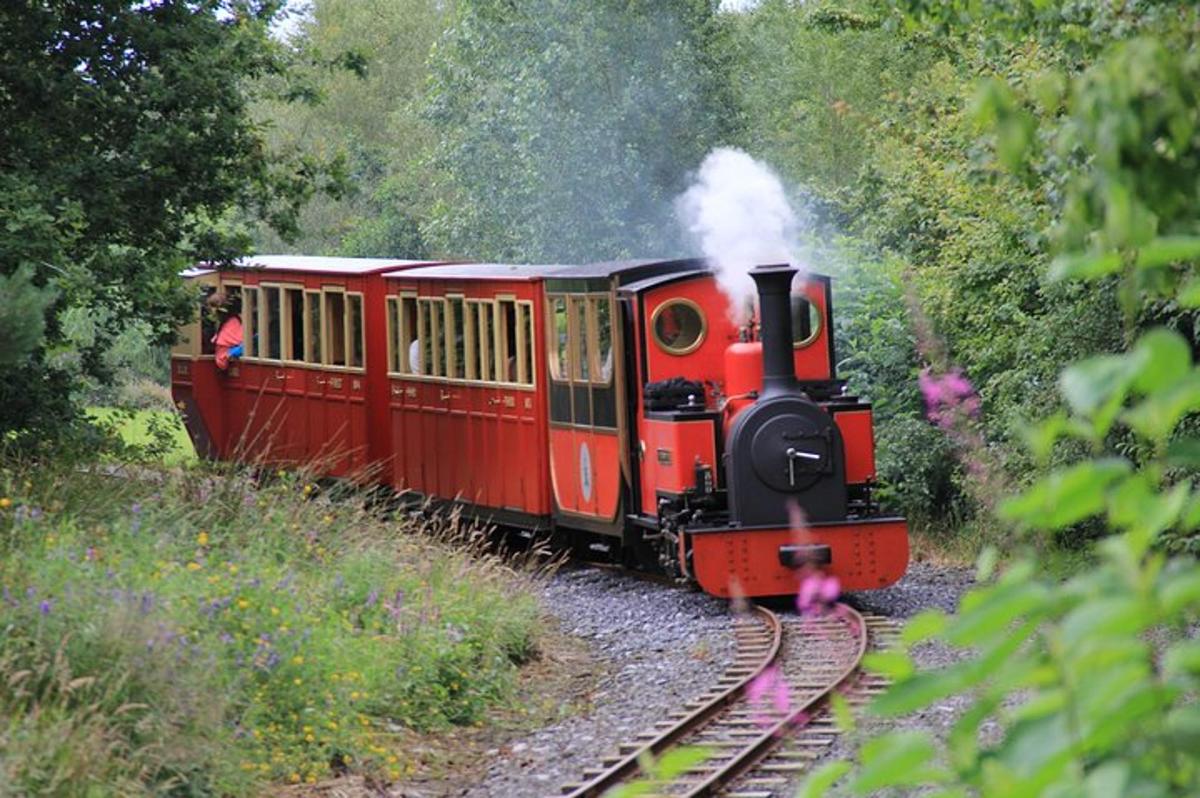 a red train is traveling down the tracks