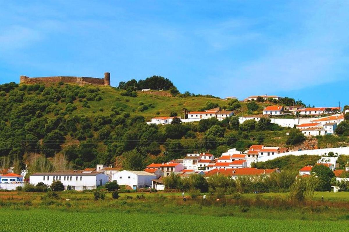 una città su una collina con un castello in cima