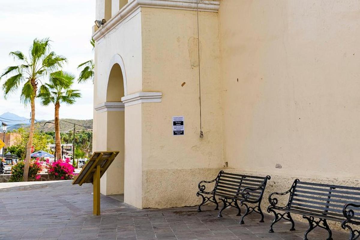 due panchine sedute accanto a un edificio con palme