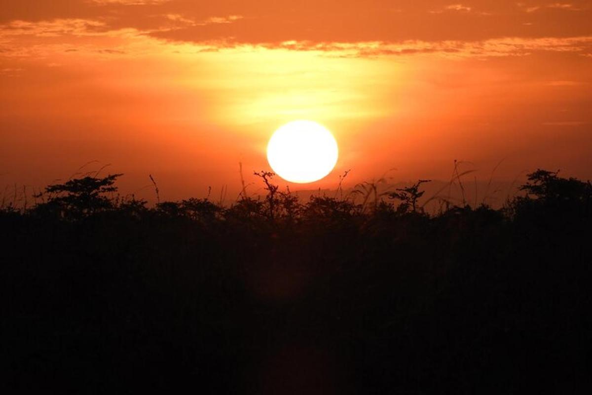 Una puesta de sol sobre un campo con el sol en el cielo.