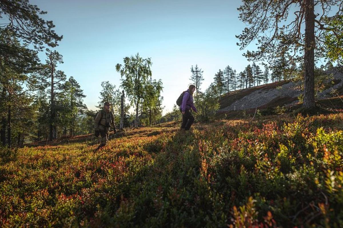 two people walking on a hill in the woods