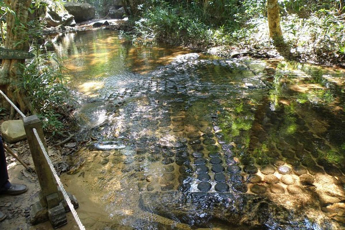 un rierol d'aigua amb roques en un camp