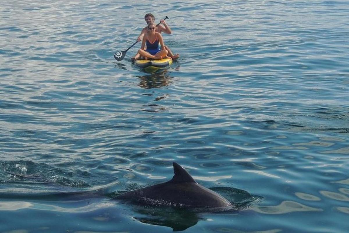 a woman in a raft in the water with dolphins