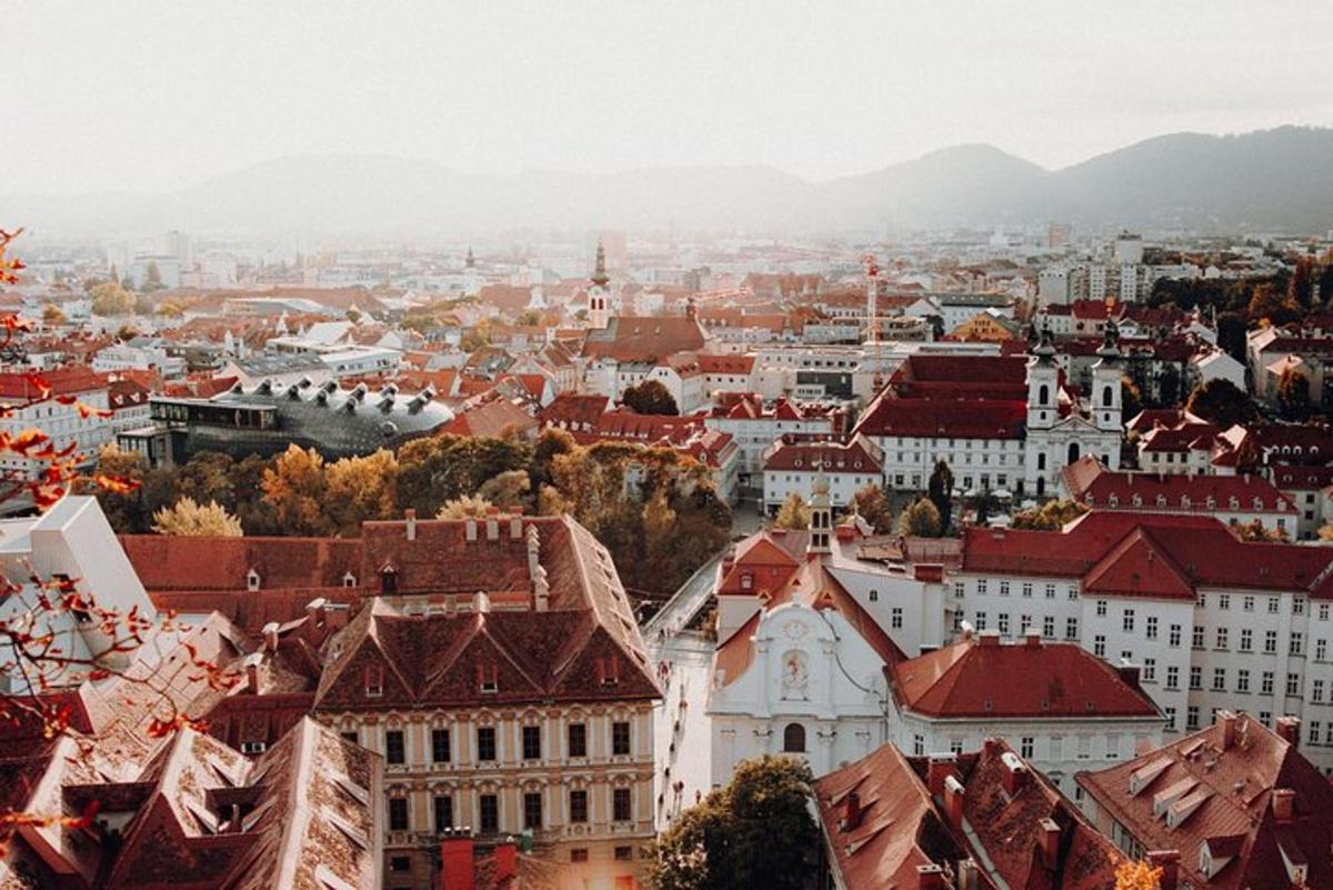 a view of a city with buildings and mountains