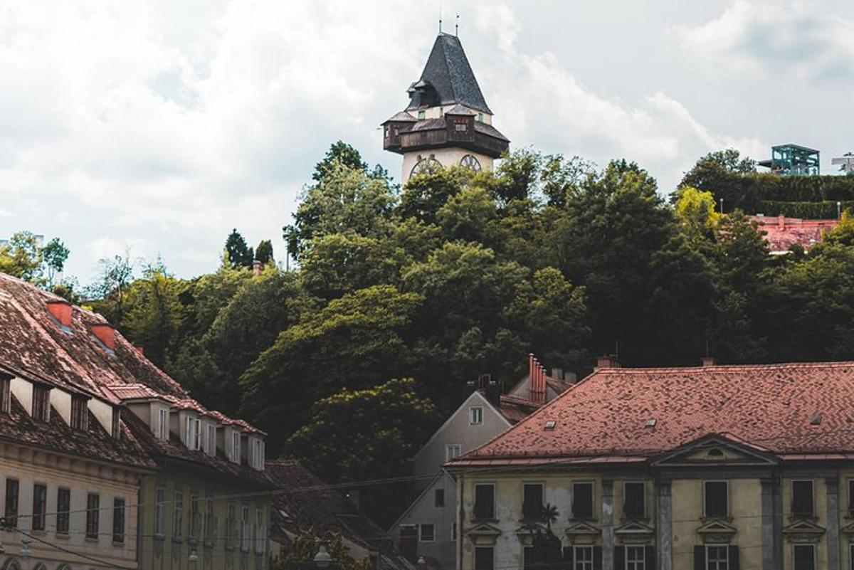 zgrada sa satom na vrhu drveća