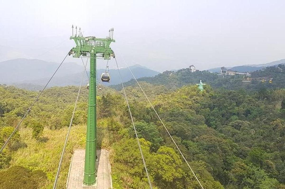 un telefèric verd al mig d'un bosc