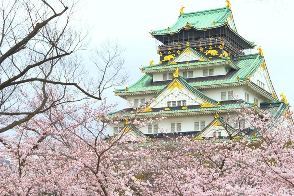 un grande edificio con alberi akura di fronte