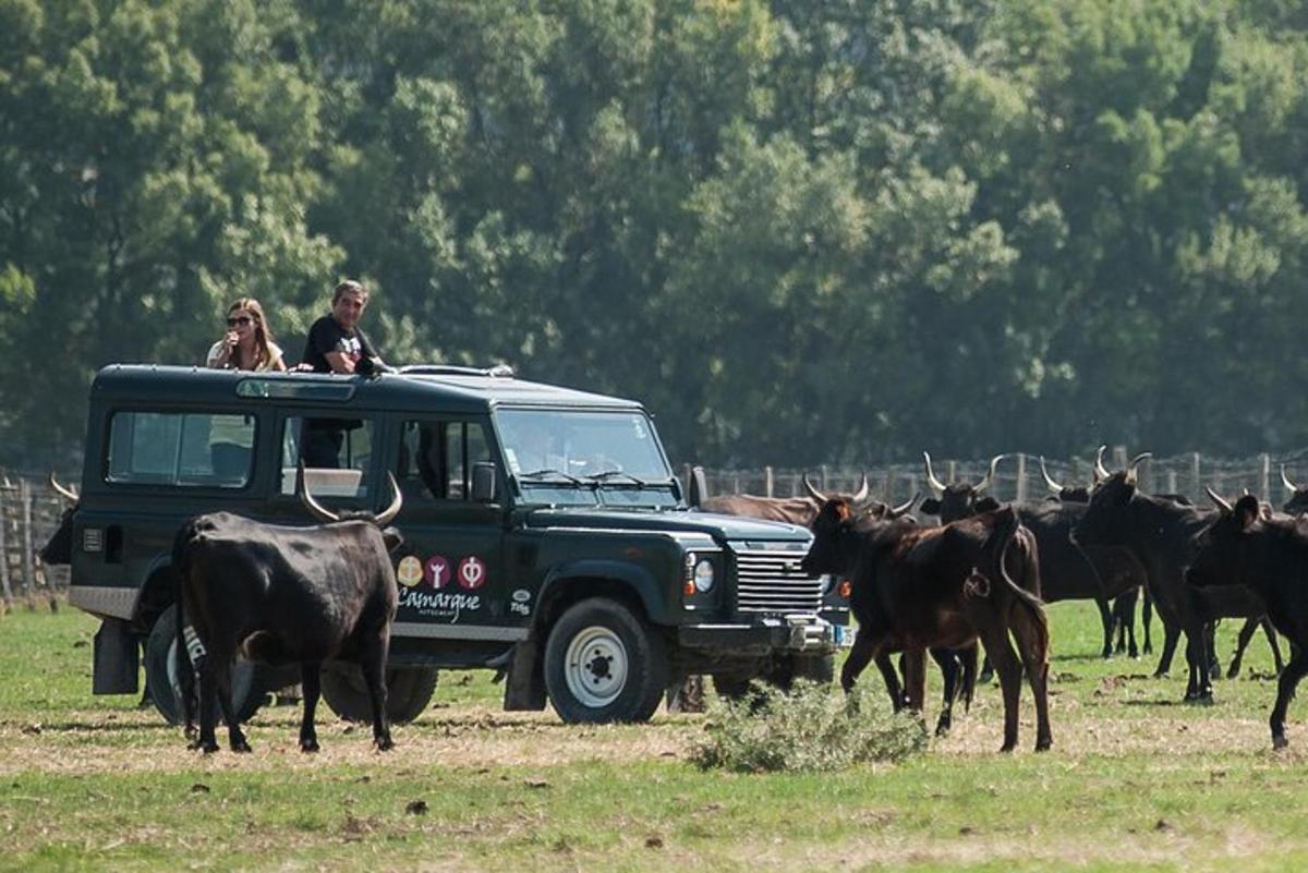 un uomo e una donna in piedi sopra un camion con del bestiame
