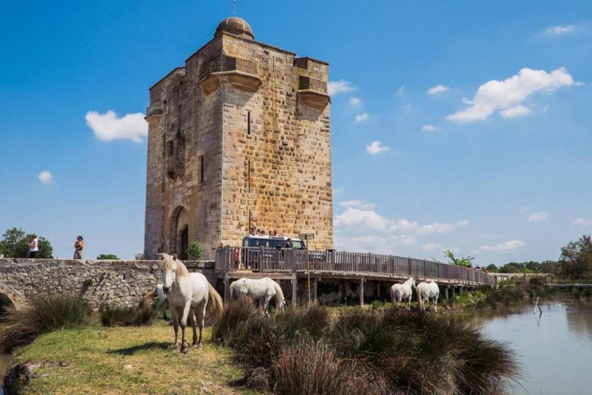 um grupo de cavalos parados em frente a um castelo