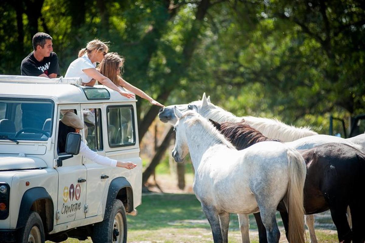um grupo de pessoas andando no teto de um caminhão com cavalos