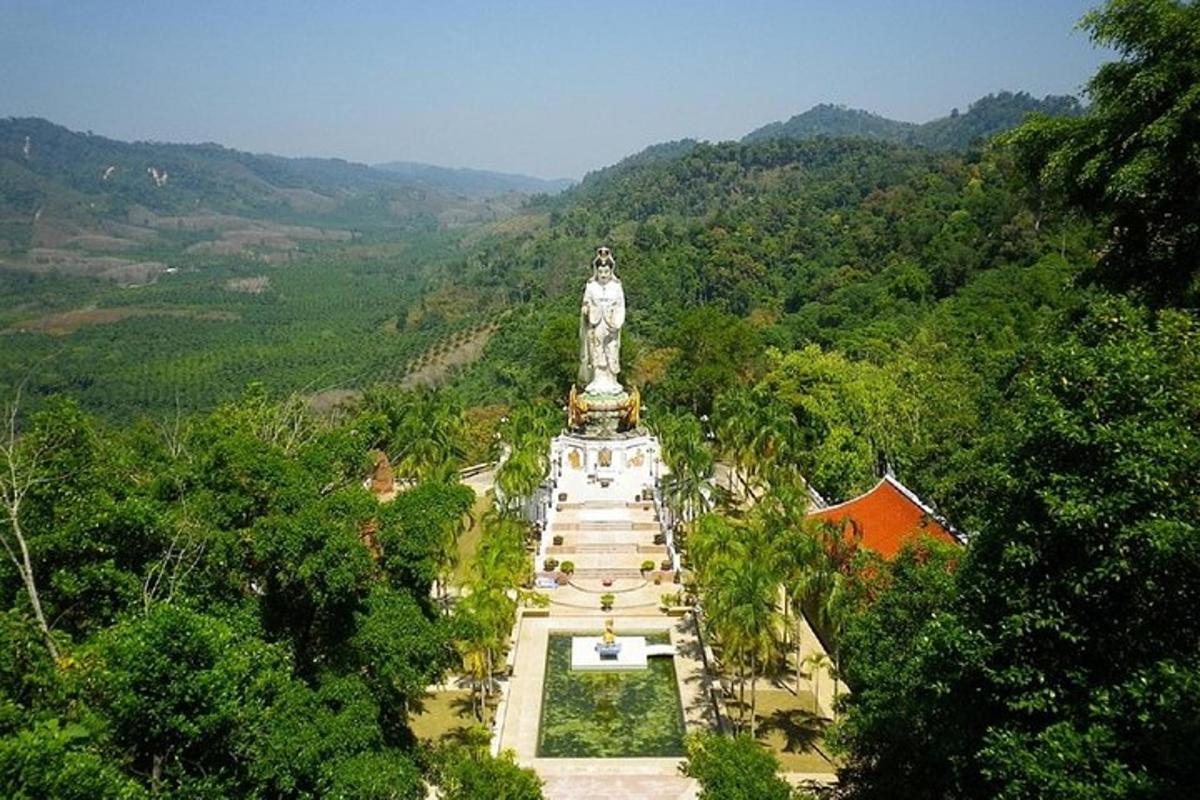 an aerial view of a monument in the middle of a forest