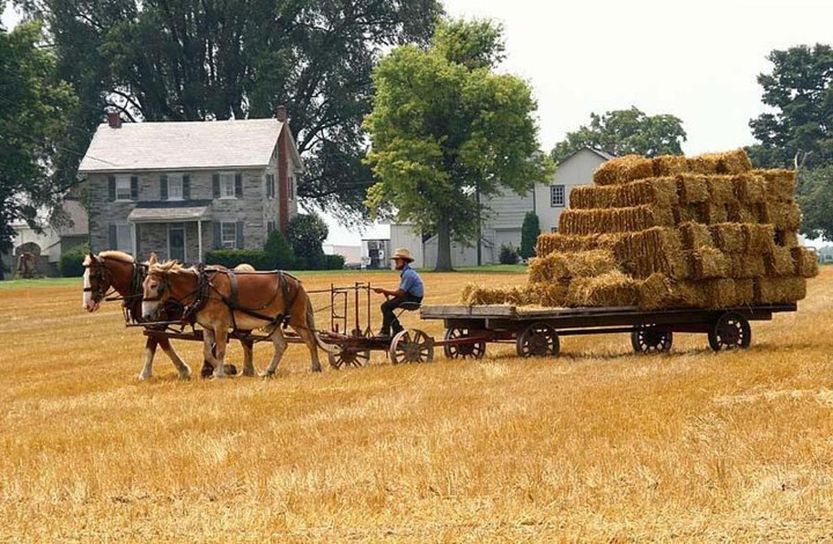 a man is pulling a horse pulling a cart of hay