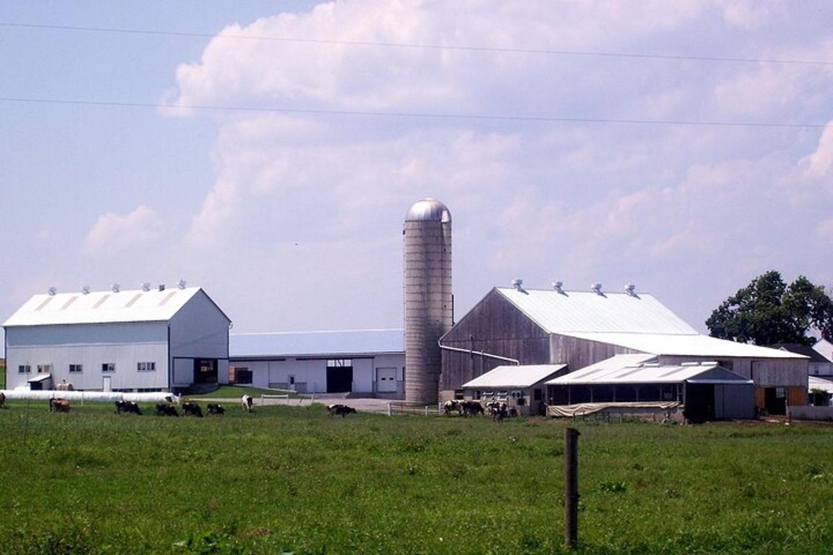a barn with a silo and some animals in a field