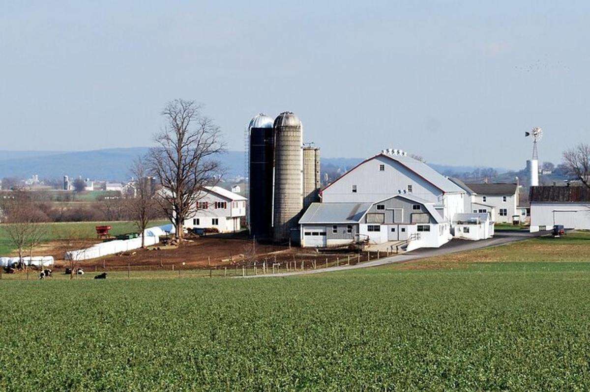 a farm with white buildings and silos and a green field