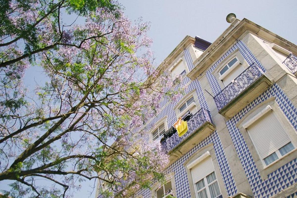 um edifício com uma árvore florida na frente