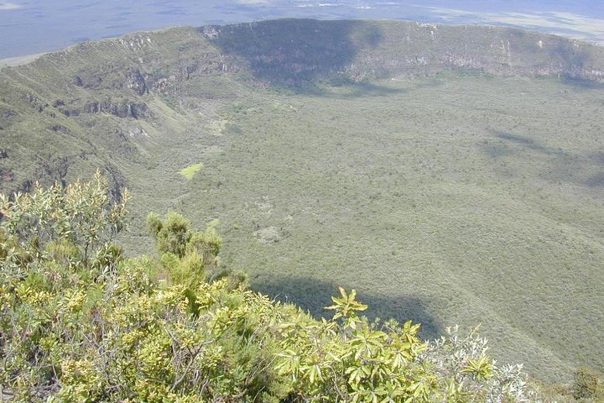 Una vista aérea de una montaña con árboles y agua.