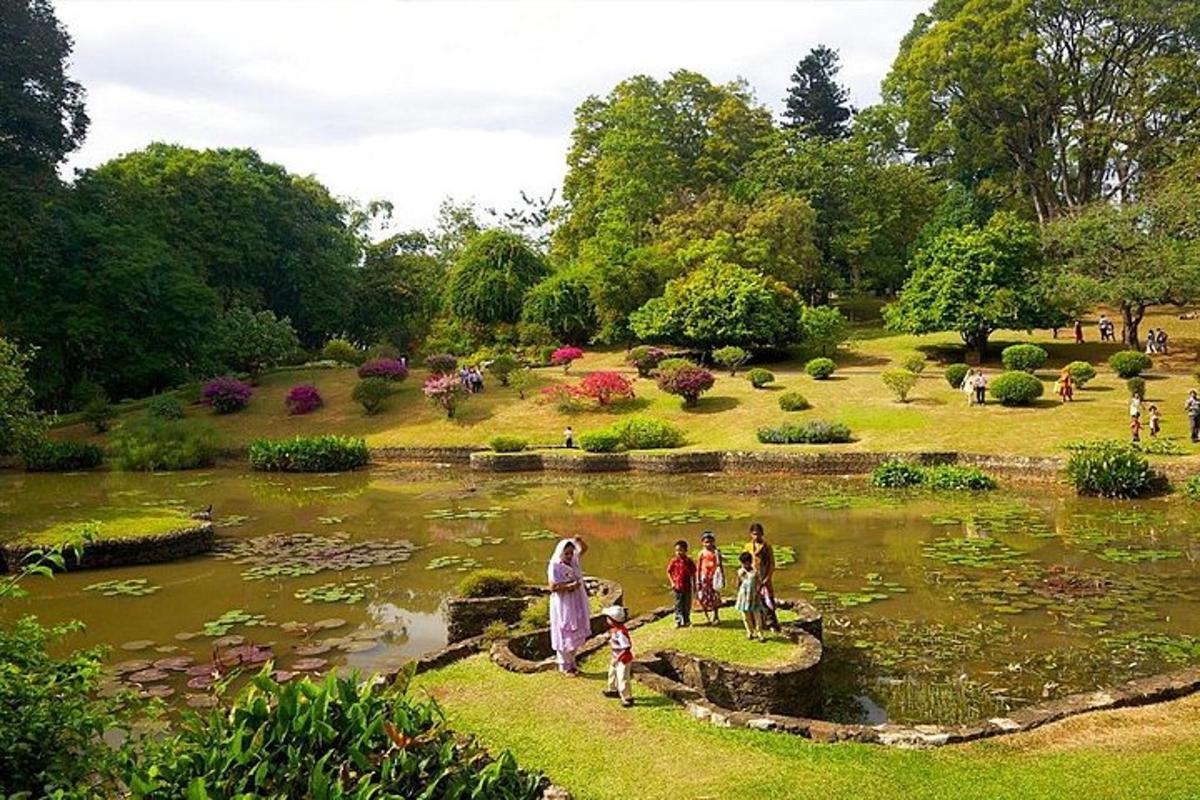 sekelompok orang berdiri di sekitar kolam di taman