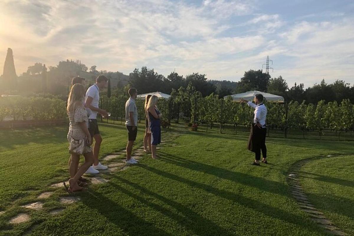 un grup de oameni care stăteau pe un câmp cu umbrele