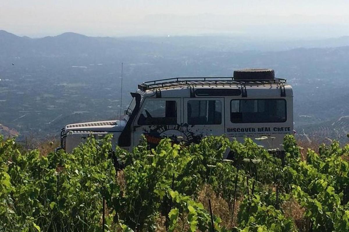 un camion parcheggiato in cima a una collina con l'uva