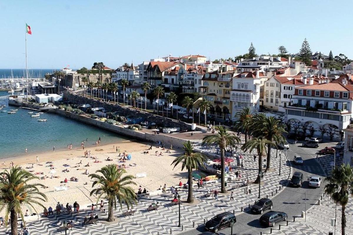 uma praia com pessoas e palmeiras e um porto