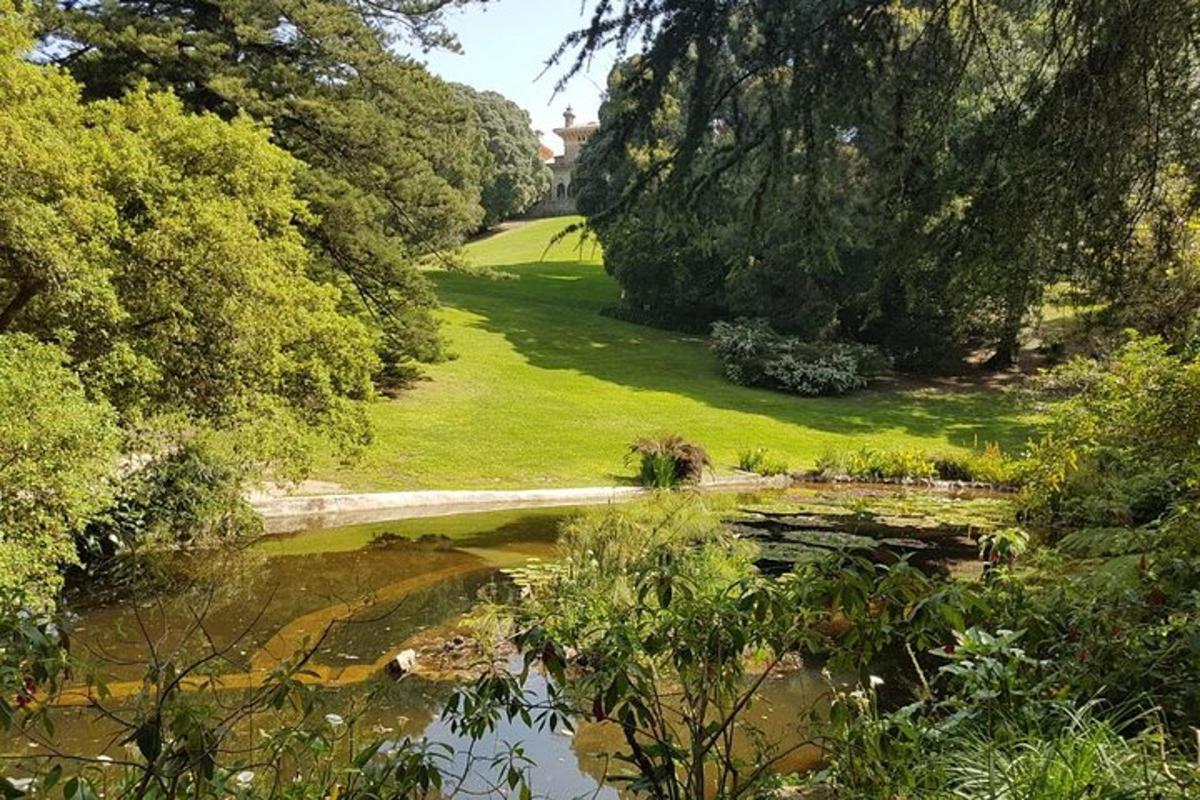 a view of a park with a pond and trees