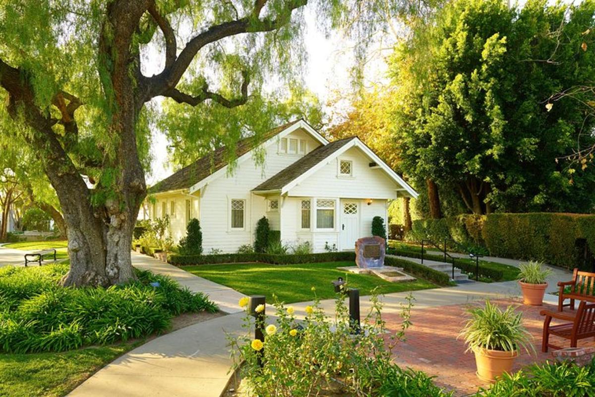 a white house with a tree and a sidewalk