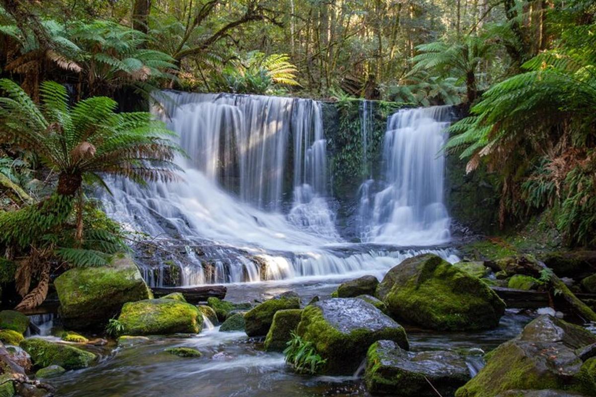 una cascada en un bosc amb roques i arbres