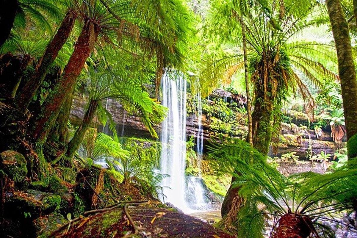 una pintura d'una cascada en un bosc amb palmeres