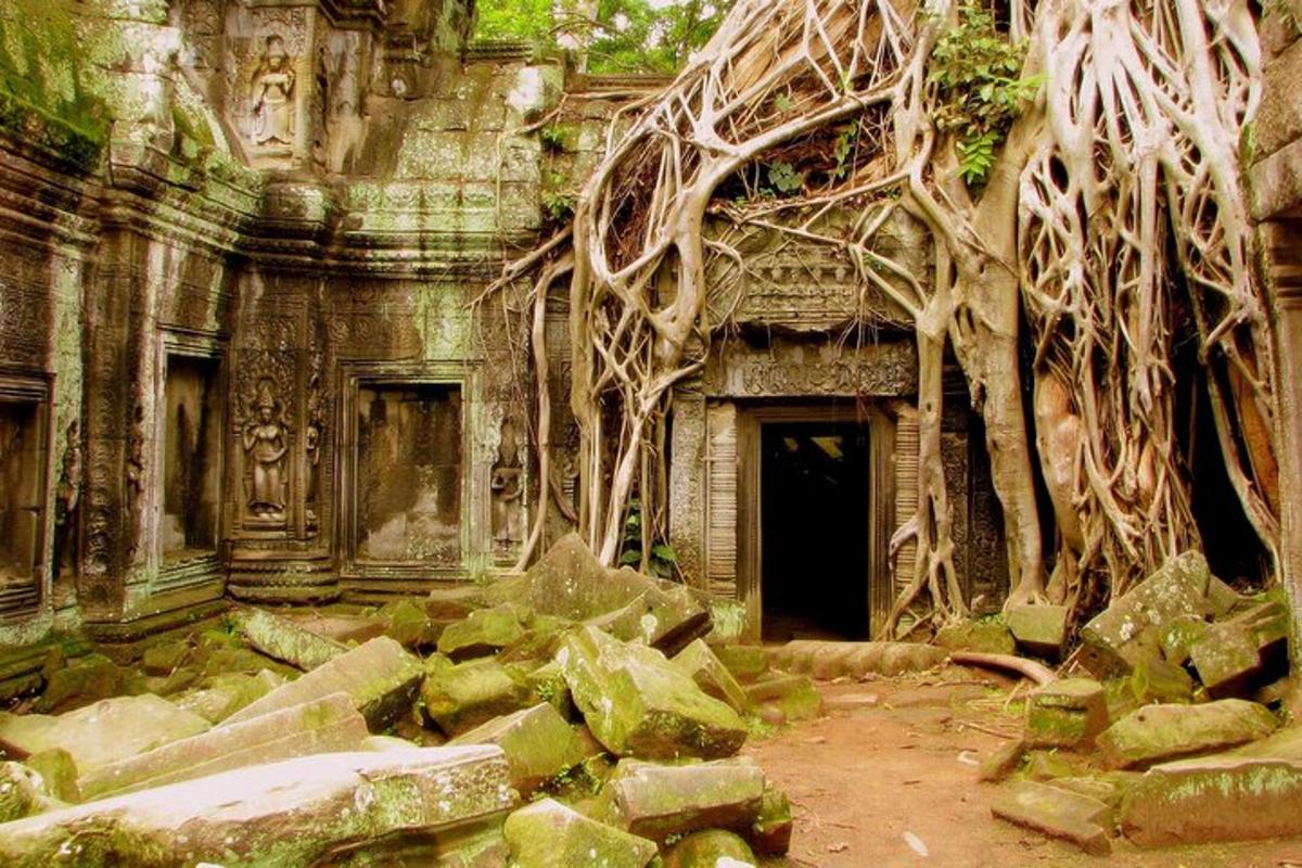 un vecchio edificio da cui crescono alberi
