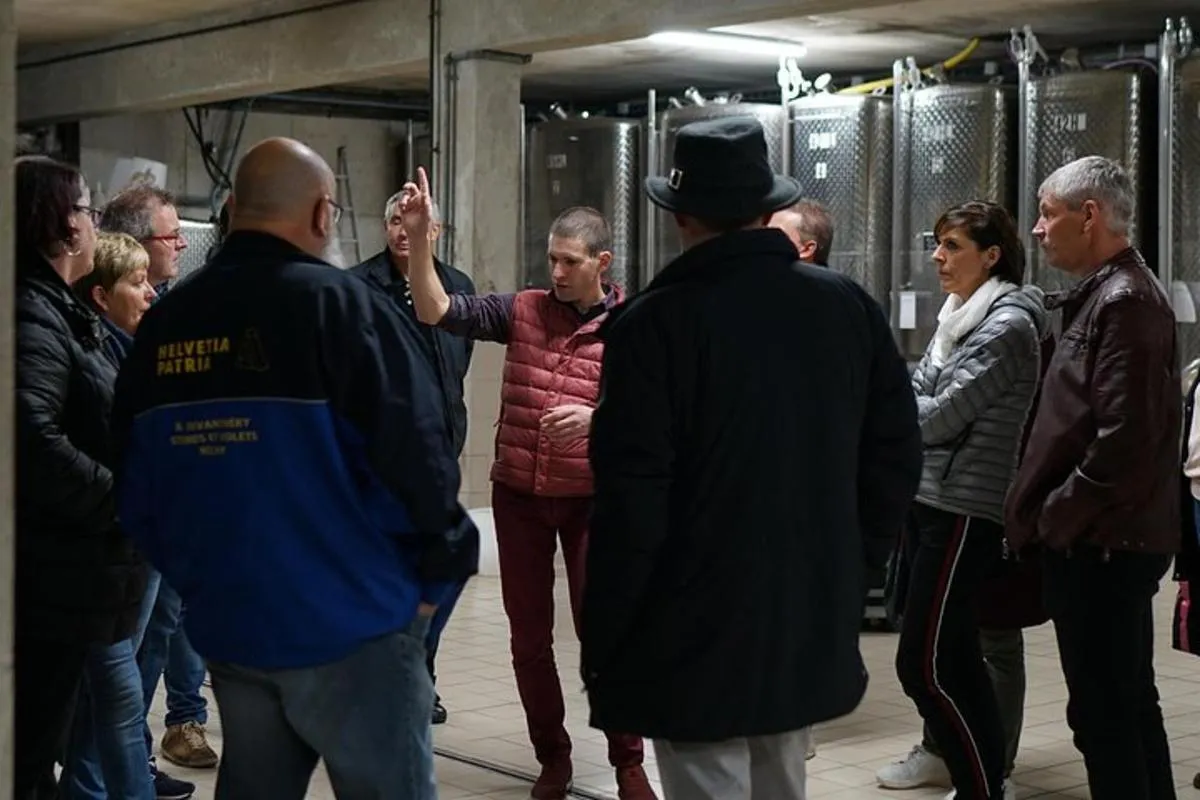 Hunawihr : visite et dégustation de vins d'Alsace en famille – photo 5