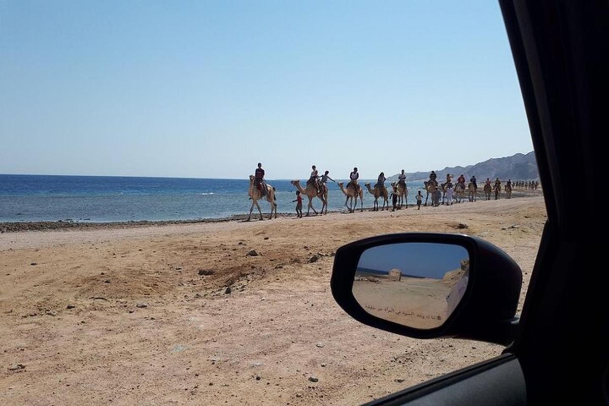 un grupo de personas montando a caballo en la playa