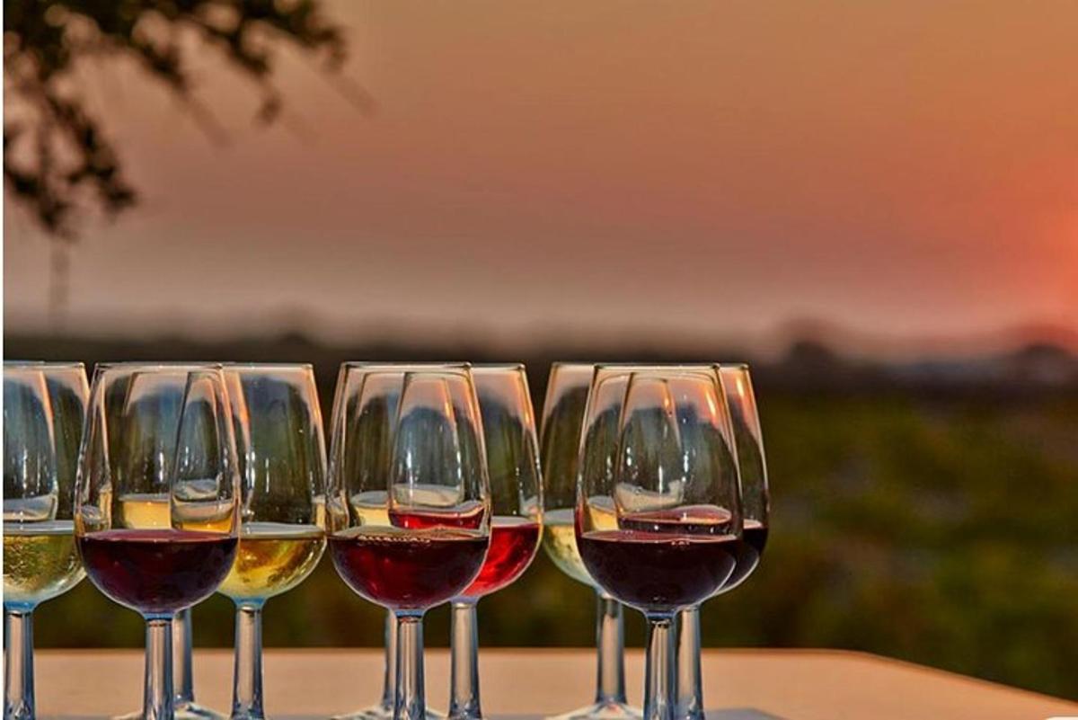 uma fileira de taças de vinho sobre uma mesa