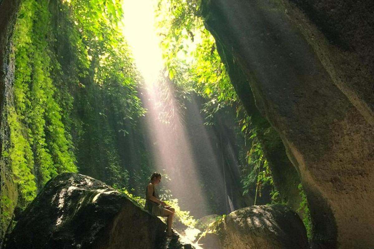 una persona dreta sobre una roca davant d'una cascada