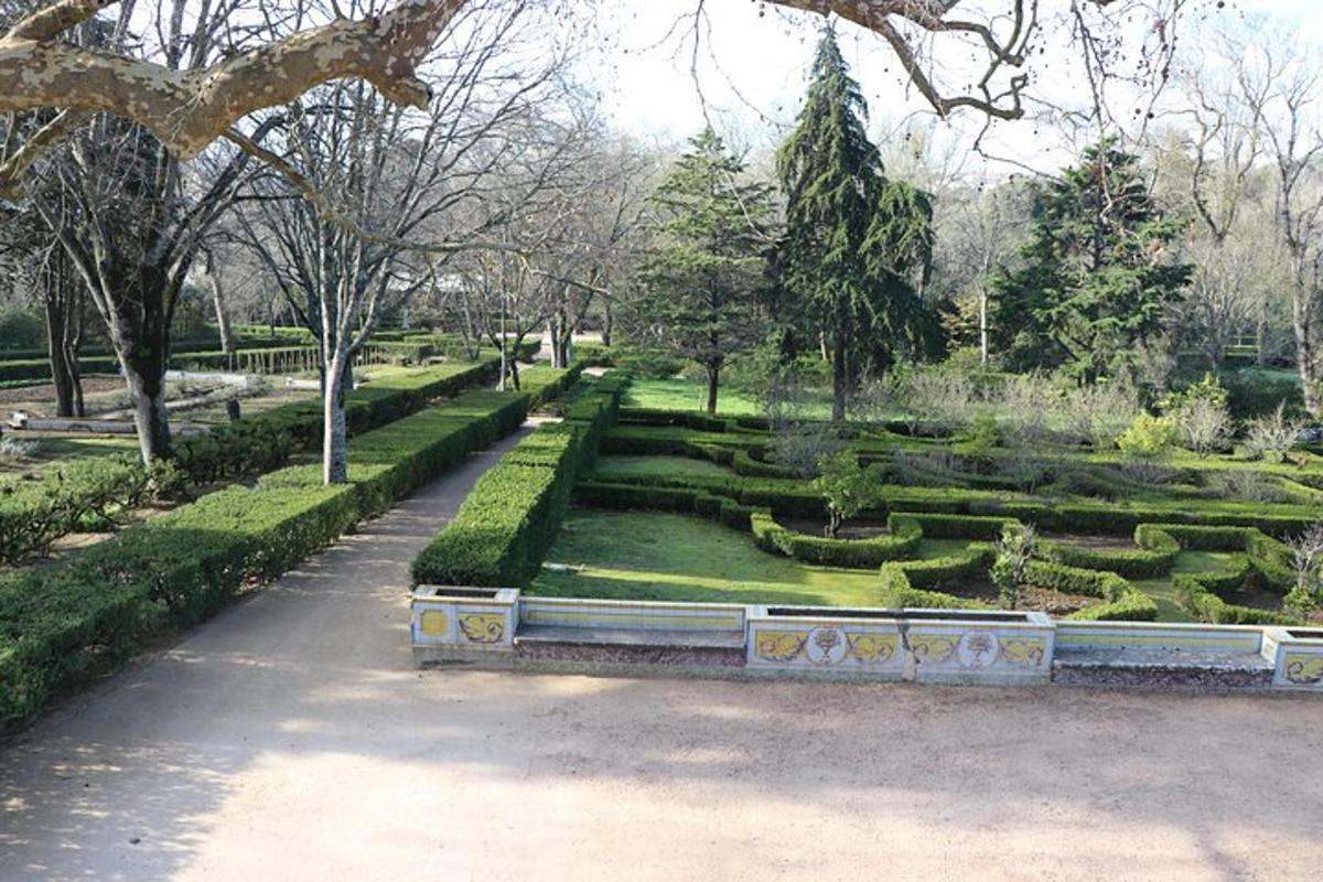 park põõsaste ja puudega aiaga