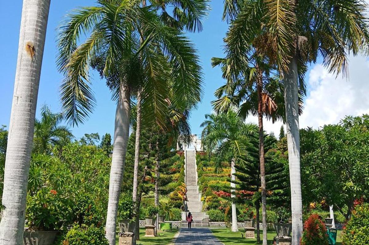 sekumpulan pokok palma di taman dengan tangga