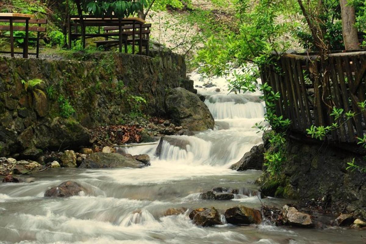 un flusso di cascate in un parco con alberi