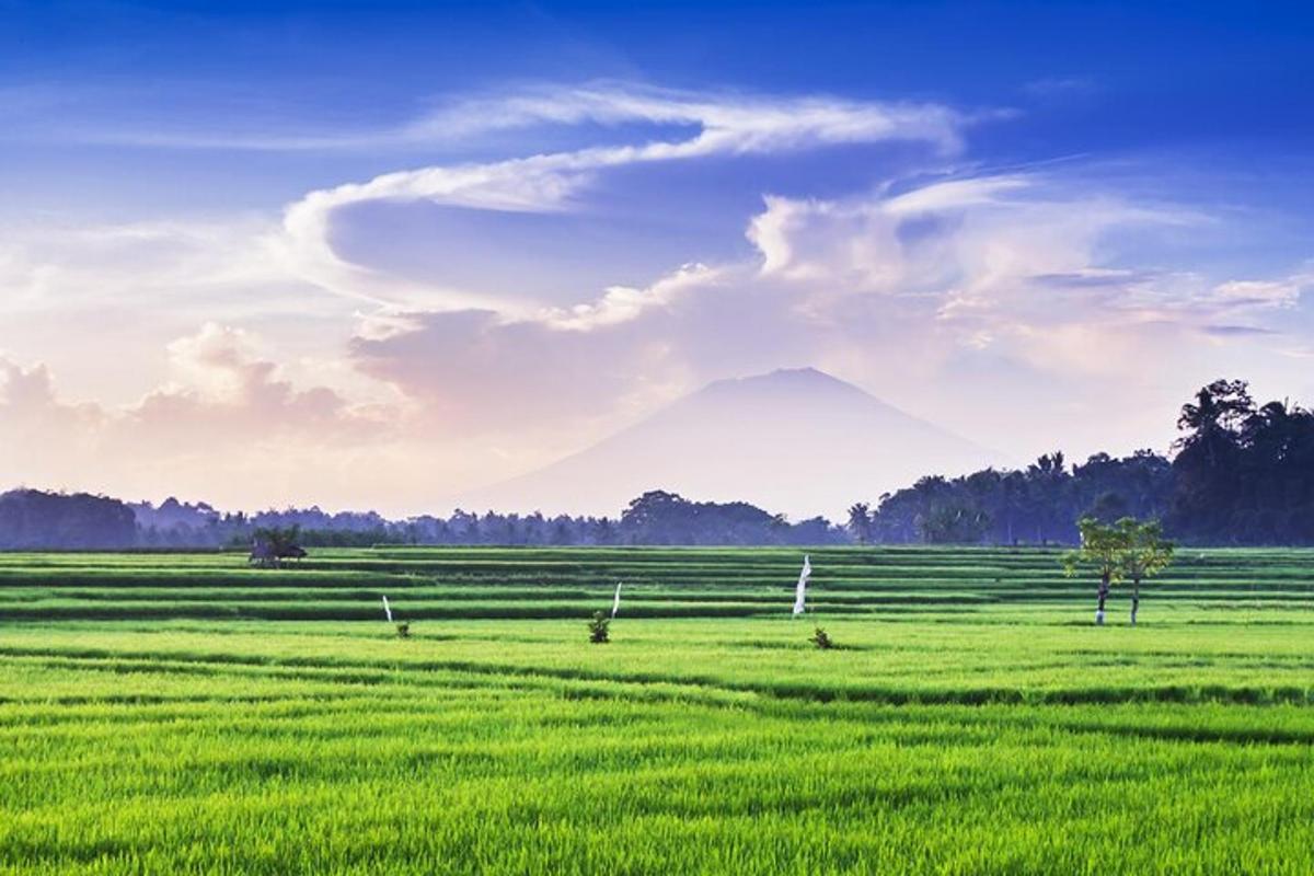 padang rumput hijau dengan latar belakang gunung