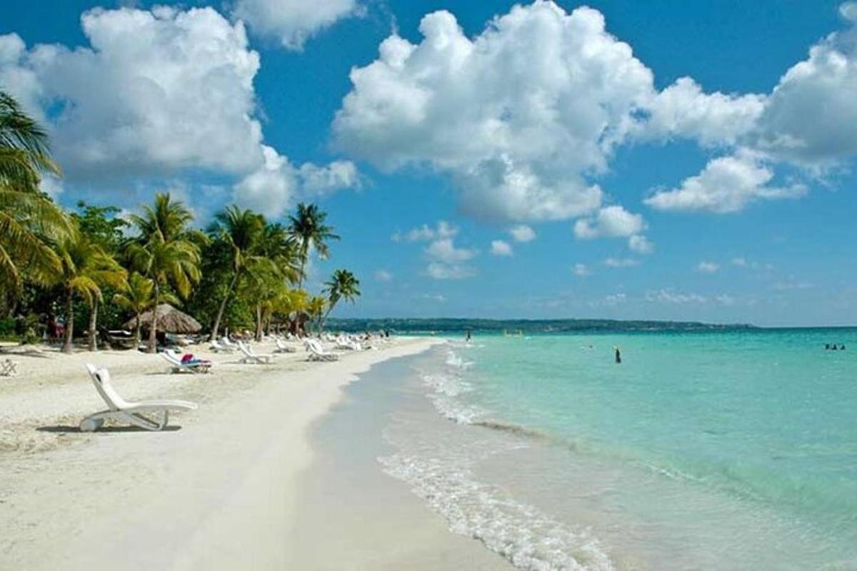 una spiaggia con sedie e palme e l'oceano