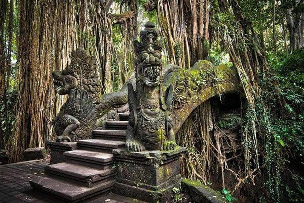 uma escada de pedra em uma floresta com árvores