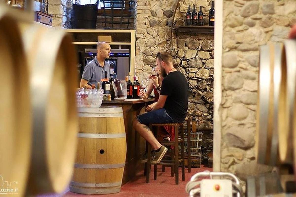dva muži sedící u baru ve vinném sklepě