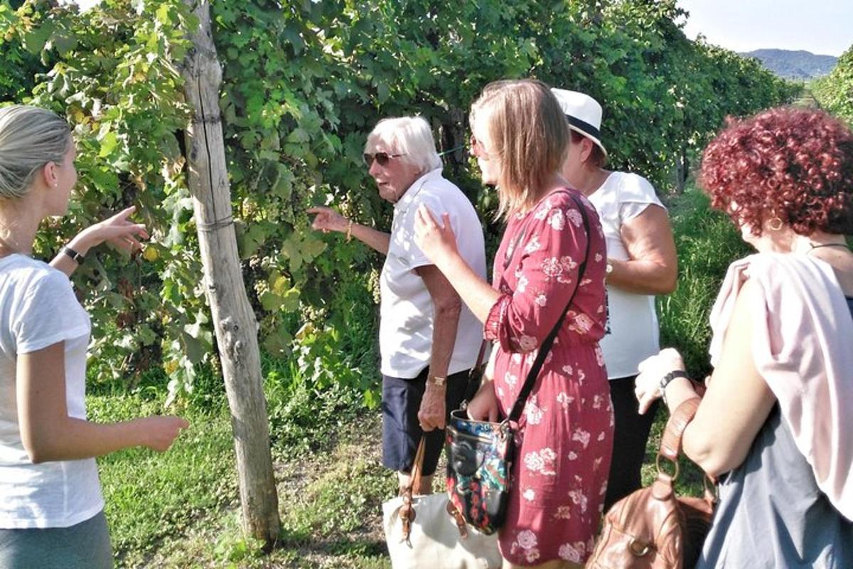 un gruppo di persone in piedi davanti a un albero