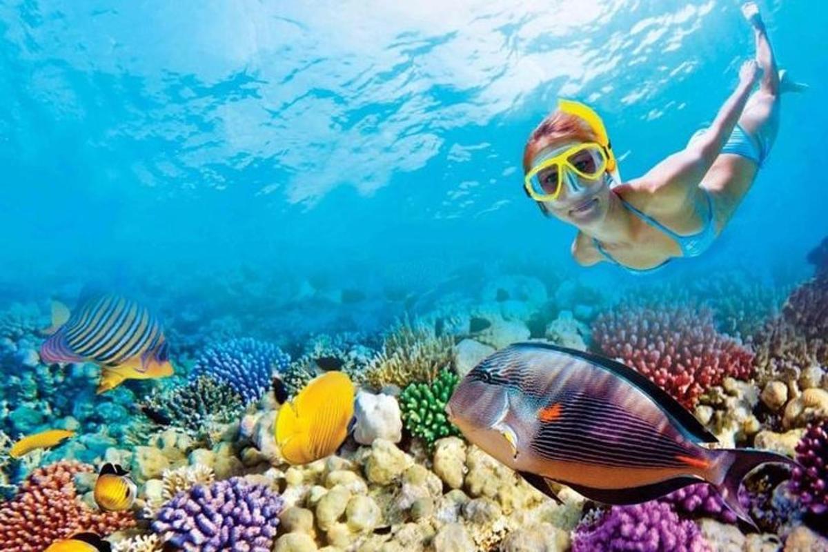uma pessoa nadando sobre um recife de coral com peixes