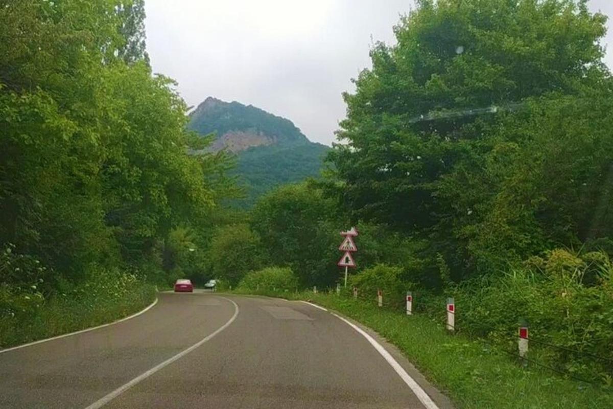 sebuah kereta yang memandu di jalan raya dengan pokok dan gunung