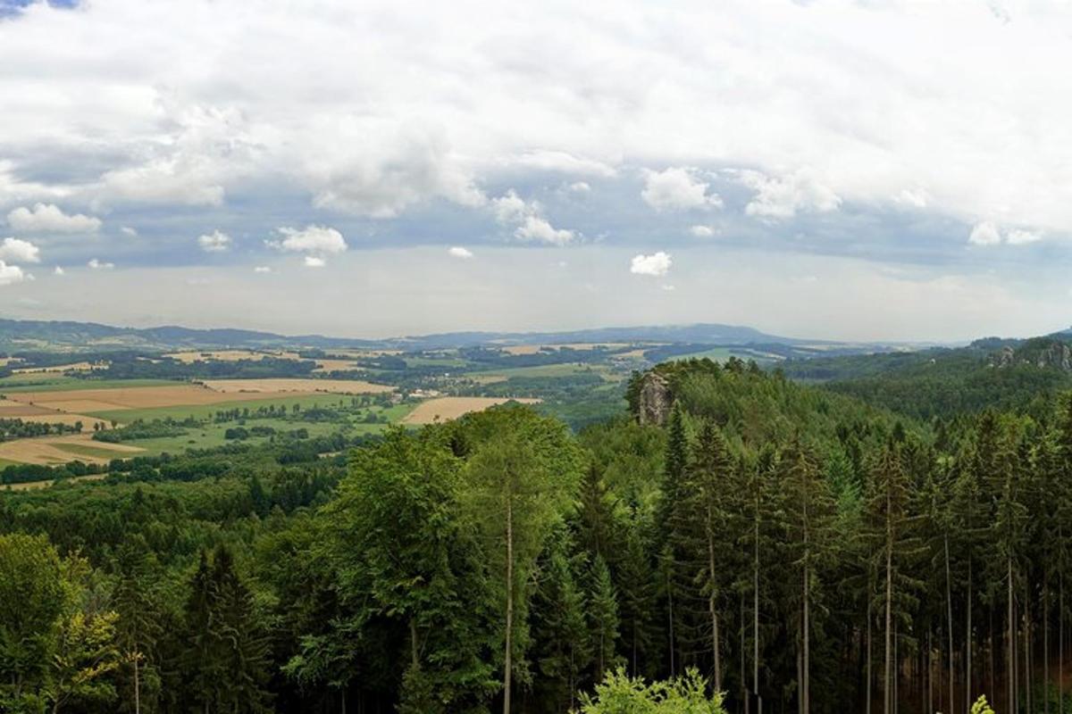 pogled na dolino z drevesi in polji